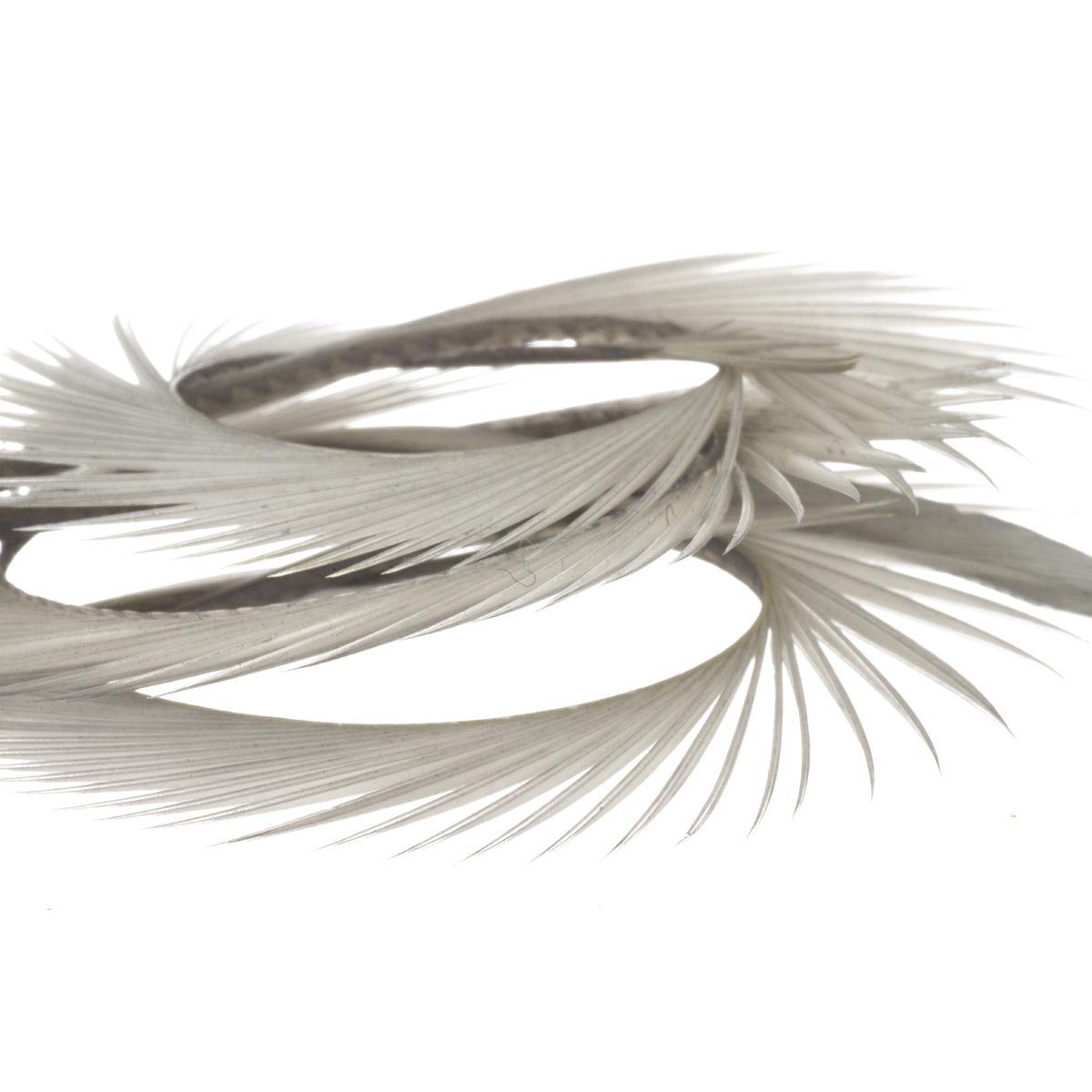 Biot Natural Semperfli