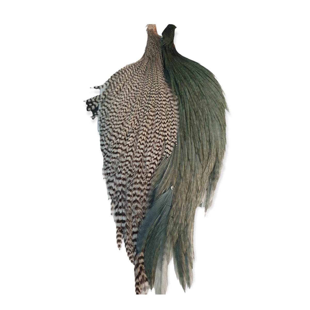 Cuello Plumas Ewin Hackle full split capes #1 gris/grizzly