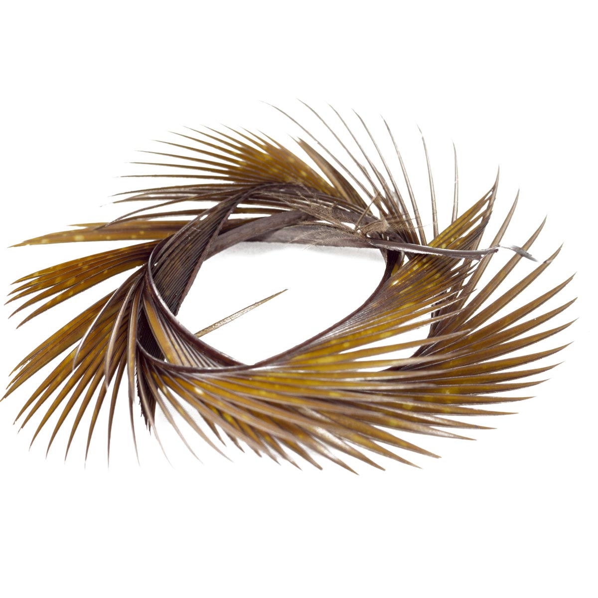 Biot Semperfli Natural Mixed Pack