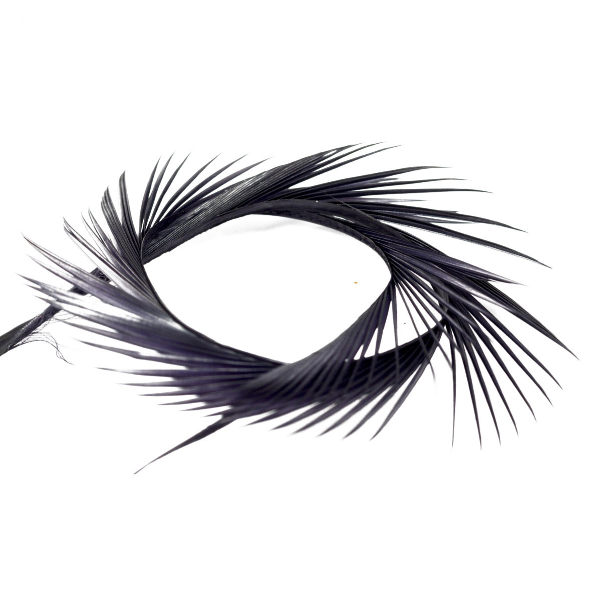 Biot Semperfli Negro
