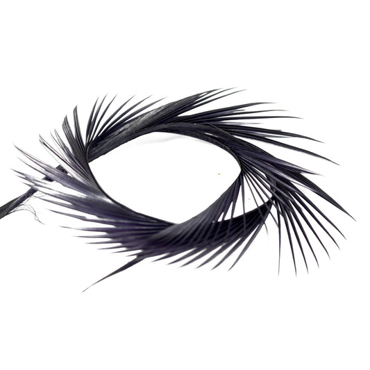 Biot Semperfli Negro